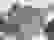 item-45600865=3