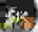 item-45601019=4