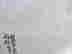 item-49159929=4