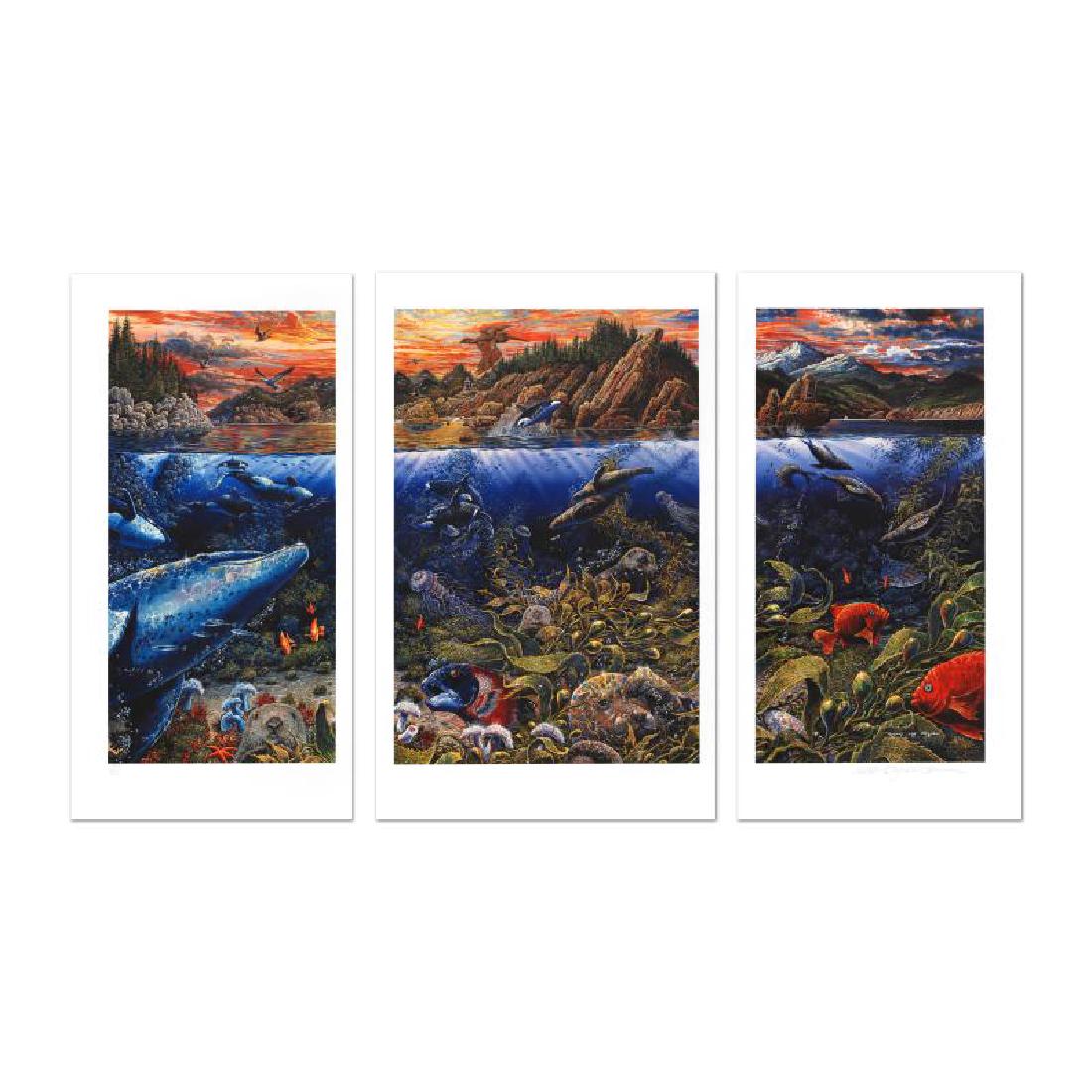 Underwater World Limited Edition Mixed Media Triptych (1 of 2)