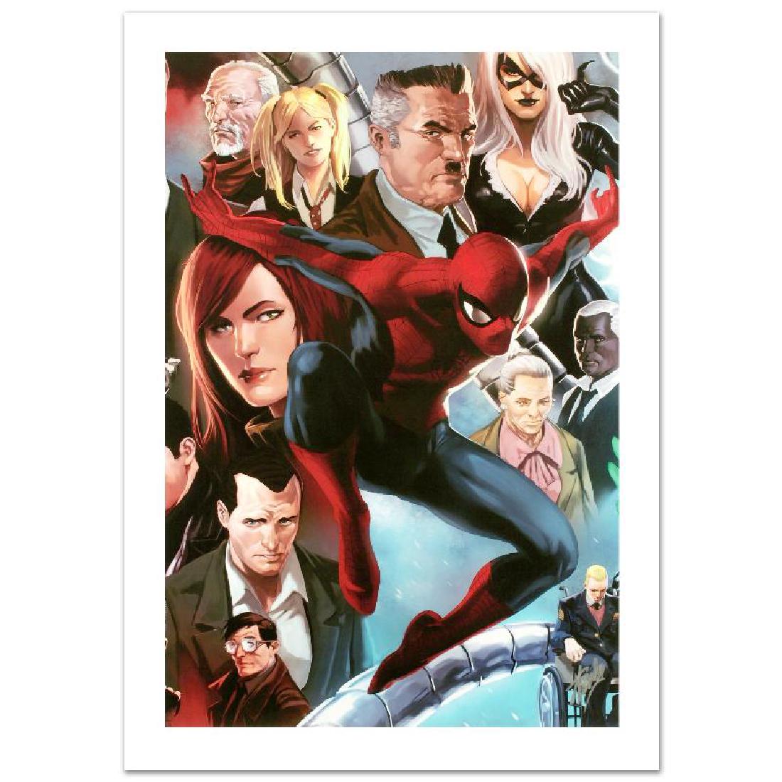 "Amazing Spider-Man #645" Limited Edition Giclee on: A piece of comic book history, this limited edition, from original art by Marko Djurdjevic, depicts Spider-Man and a plethora of characters from his story. Marko Djurdjevic was discovered by Marvel af