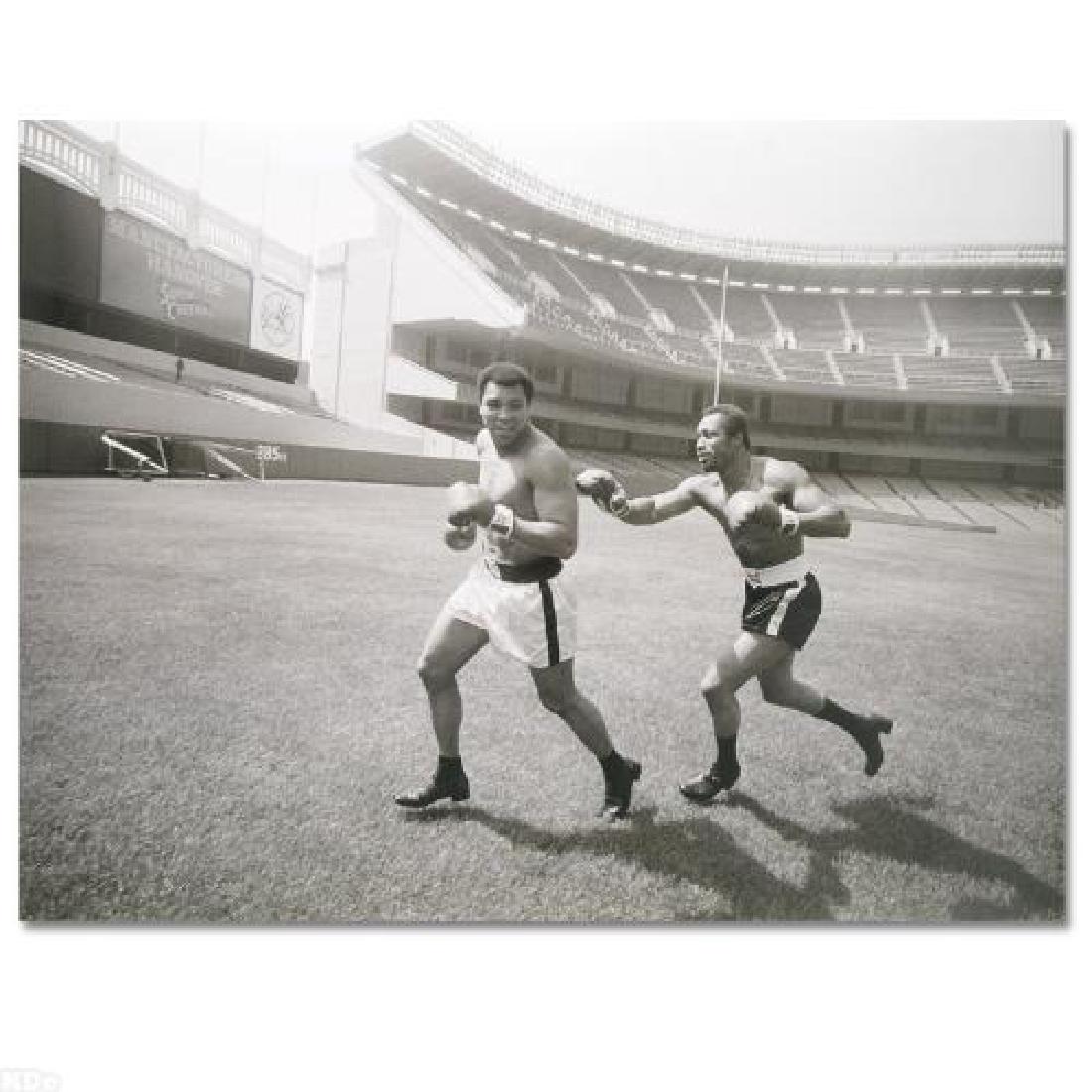 Muhammad Ali and Ken Norton! Licensed Photograph (40" x: Own a piece of sports history with this photo of Muhammad Ali and Ken Norton (1943-2013), one of Ali's famed opponents. Taken at the peak of Ali's success as one of the greatest heavyweight championsh
