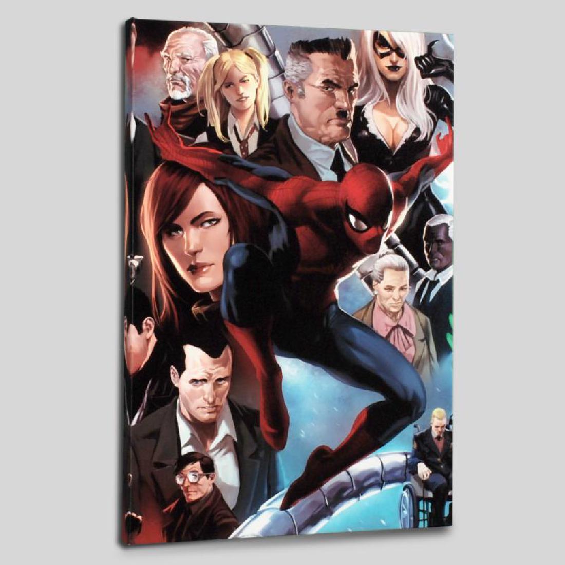 "Amazing Spider-Man #645" Limited Edition Giclee on: A piece of comic book history, this limited edition, from original art by Marko Djurdjevic, depicts Spider-Man and a plethora of characters from his story. Marko Djurdjevic was discovered by Marvel af