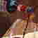 item-61622130=4