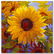 "Spellbound" Limited Edition Giclee on Canvas by Simon - 3