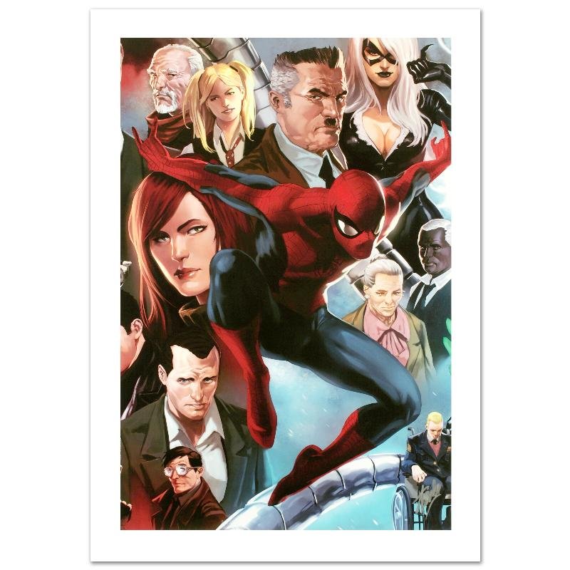 "Amazing Spider-Man #645" Limited Edition Giclee on: A piece of comic book history, this limited edition, from original art by Marko Djurdjevic, depicts Spider-Man and a plethora of characters from his story. Marko Djurdjevic was discovered by Marvel af