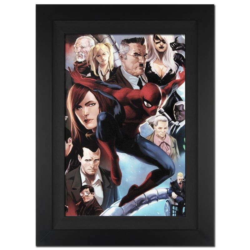 "Amazing Spider-Man #645" Extremely Limited Edition: A piece of comic book history, this limited edition, from original art by Marko Djurdjevic, depicts Spider-Man and a plethora of characters from his story. Marko Djurdjevic was discovered by Marvel af