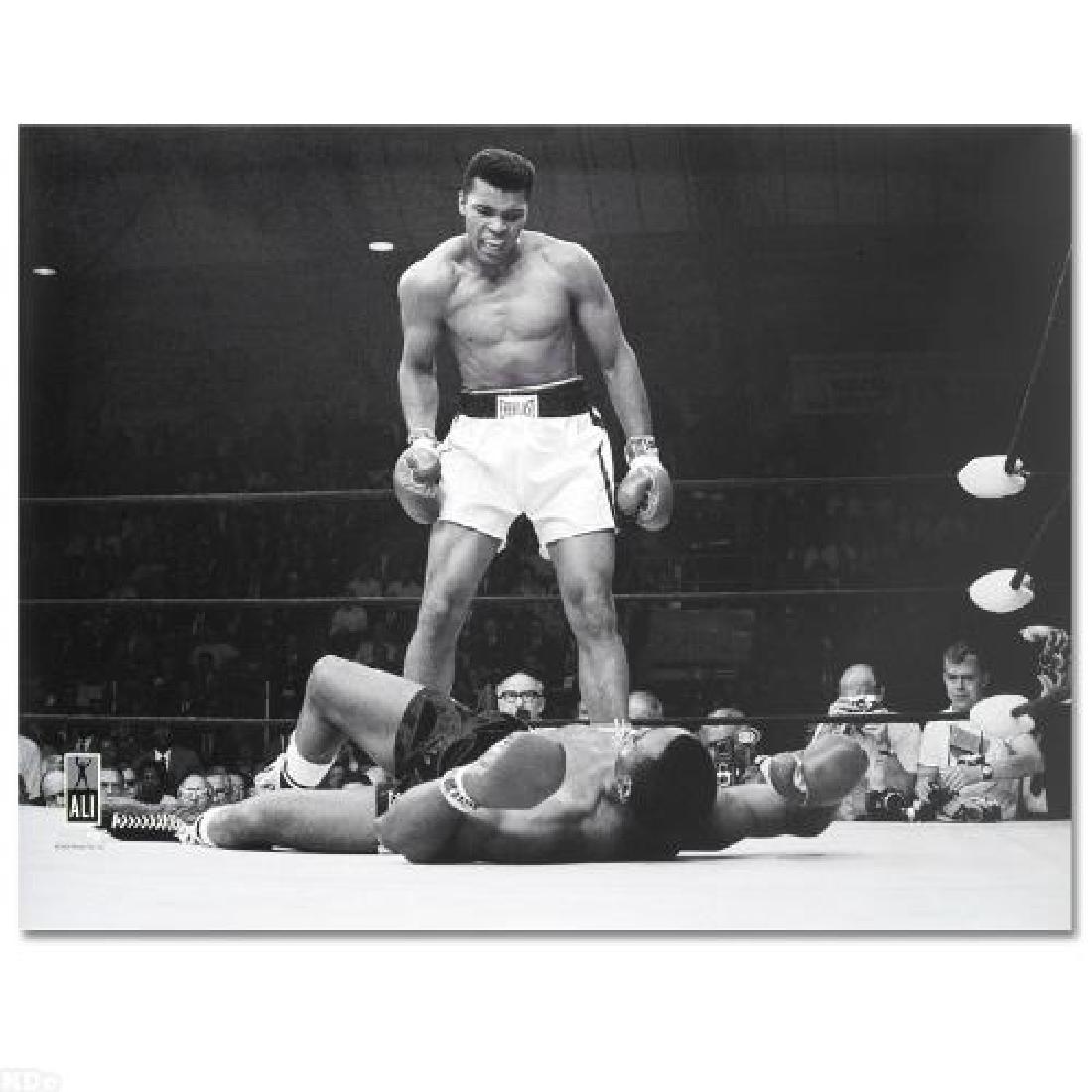 Muhammad Ali! Licensed Photograph (40" x 30") of the: This photo, commemorating Ali and Sonny Liston's anticipated fight, is part of sports history. Taken during the first-round knockout of his championship fight against Liston, this photo is sure to com
