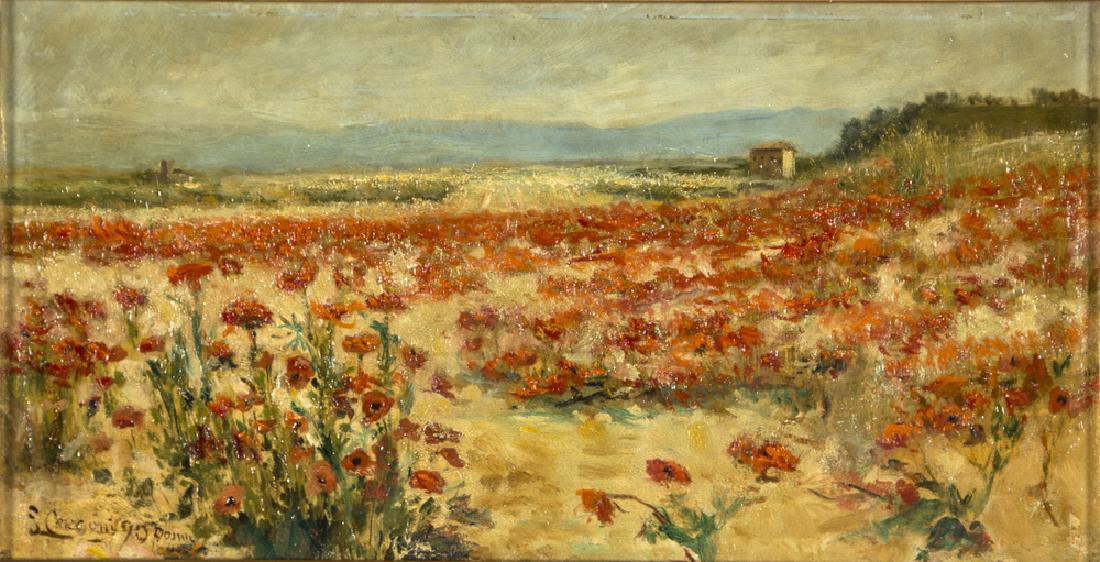 CECCONI LORENZO ROMA 1863-ROMA 1947 FIELD OF POPPIES | (1 of 1)