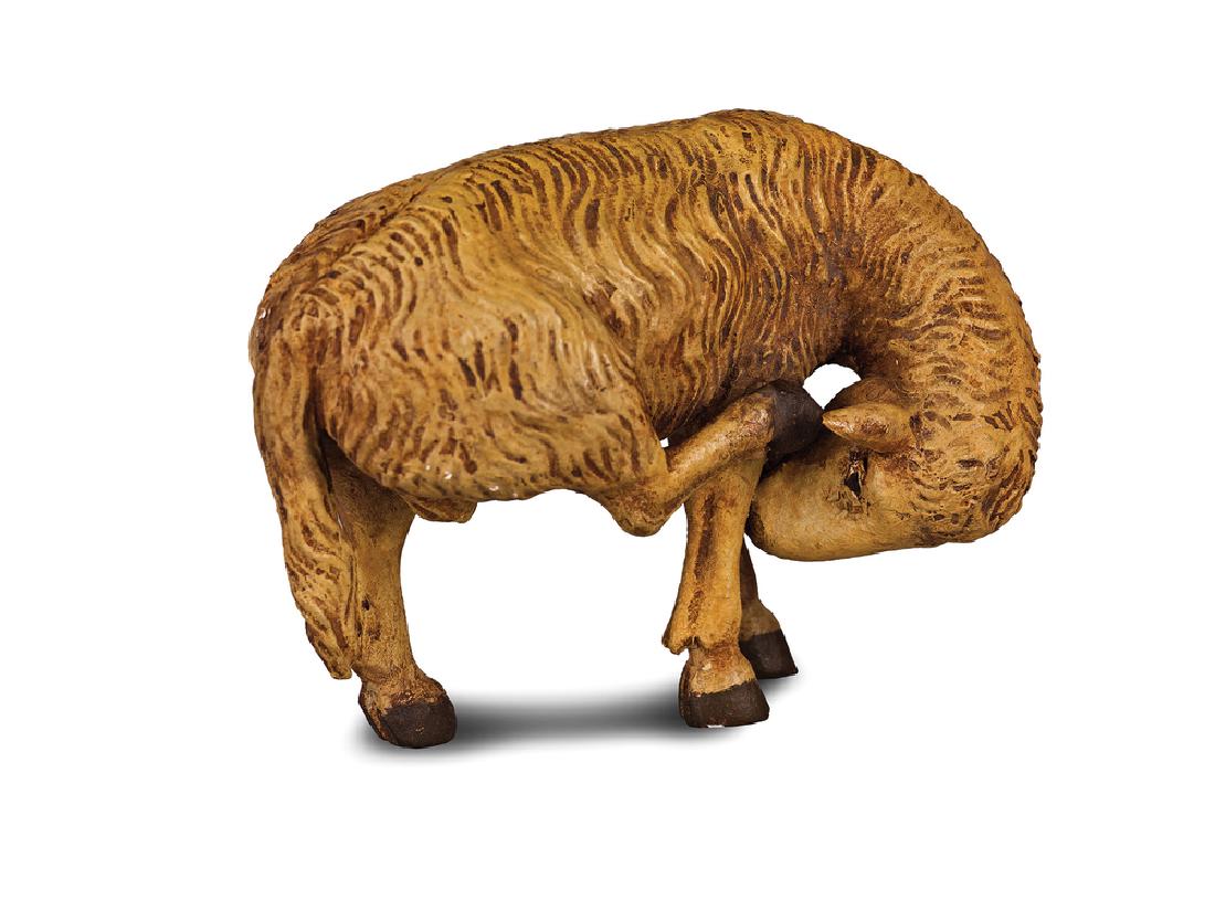 PECORA | SHEEP (1 of 1)