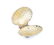 Silver shell centerpiece