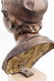 Giovanni De Martino (Napoli 1870-Napoli 1935) Bronze - 2
