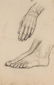 Nineteen drawings depicting studies on human anatomy