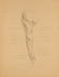 Nineteen drawings depicting studies on human anatomy - 3