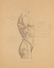 Nineteen drawings depicting studies on human anatomy - 4