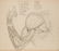 Nineteen drawings depicting studies on human anatomy - 9