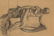 Fourteen drawings with studies on human figure - 7