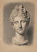 Six drawings depicting marble busts from ancient times - 6