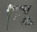 Two studies on flowers - 2