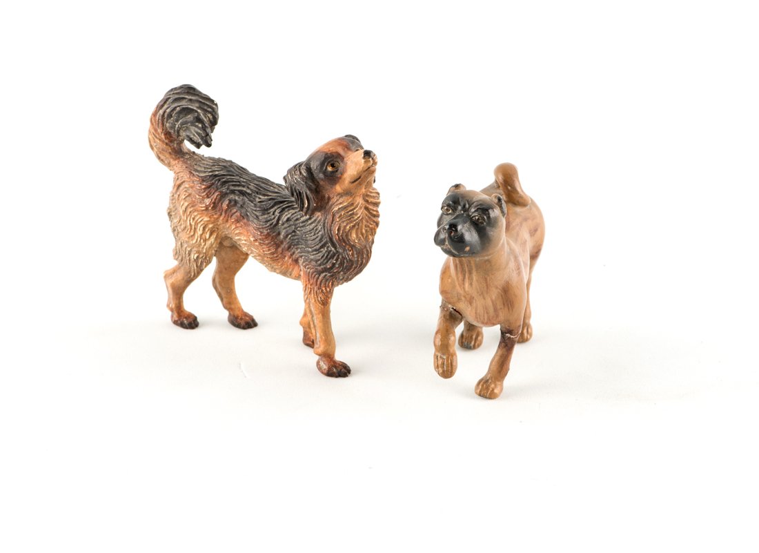 Un cane carlino e un cane volpino | A dog pug and a (1 of 1)