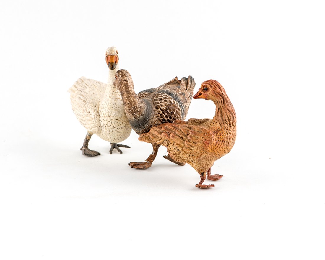 Due anatre e una papera bianca | Two ducks and a white (1 of 1)