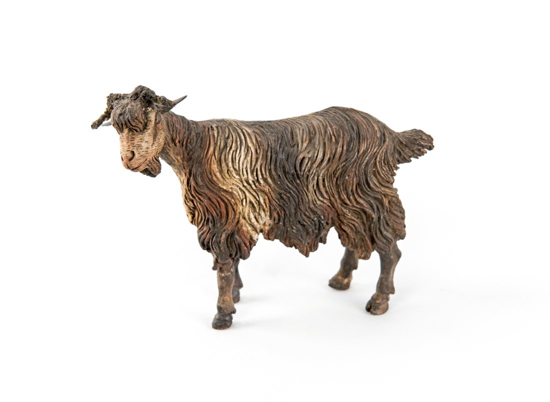 Capra in piedi | Standing goat (1 of 1)