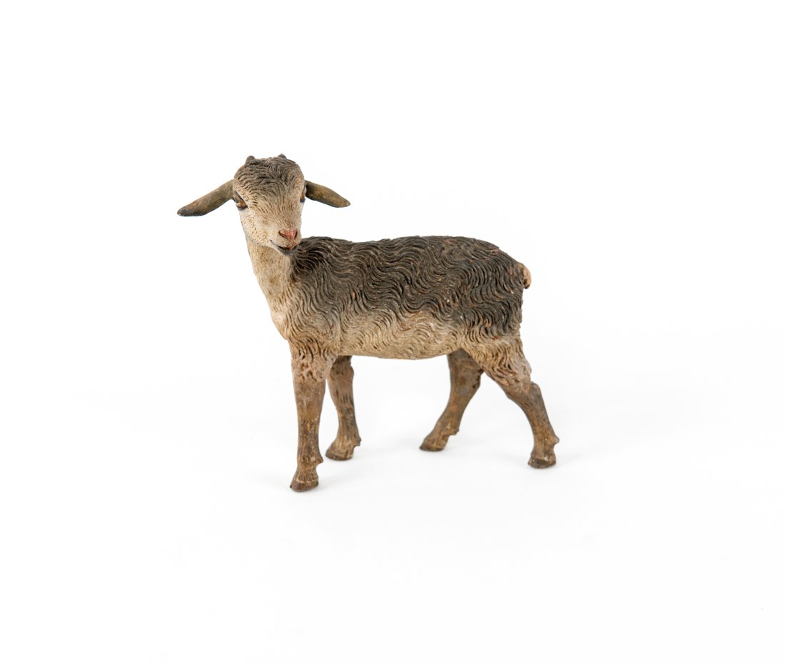 Un agnellino | A lamb (1 of 1)