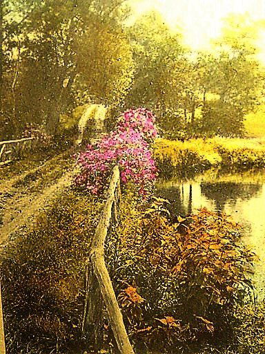 Pr. Davidson Framed Prints (1 of 3)