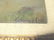 George Luks. American Oil. The Boy Scout. Signed. - 6
