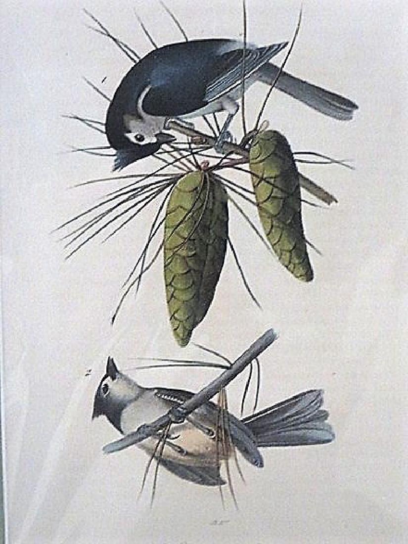 Audubon. Crested Titmouse. Plate 125 (1 of 1)