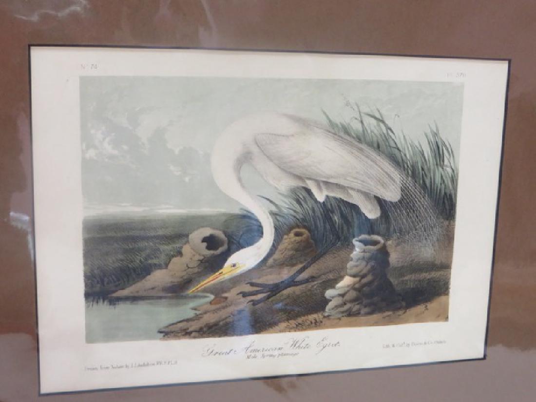 J.J. Audubon (1785-1851). Great Am. White Egret (1 of 1)