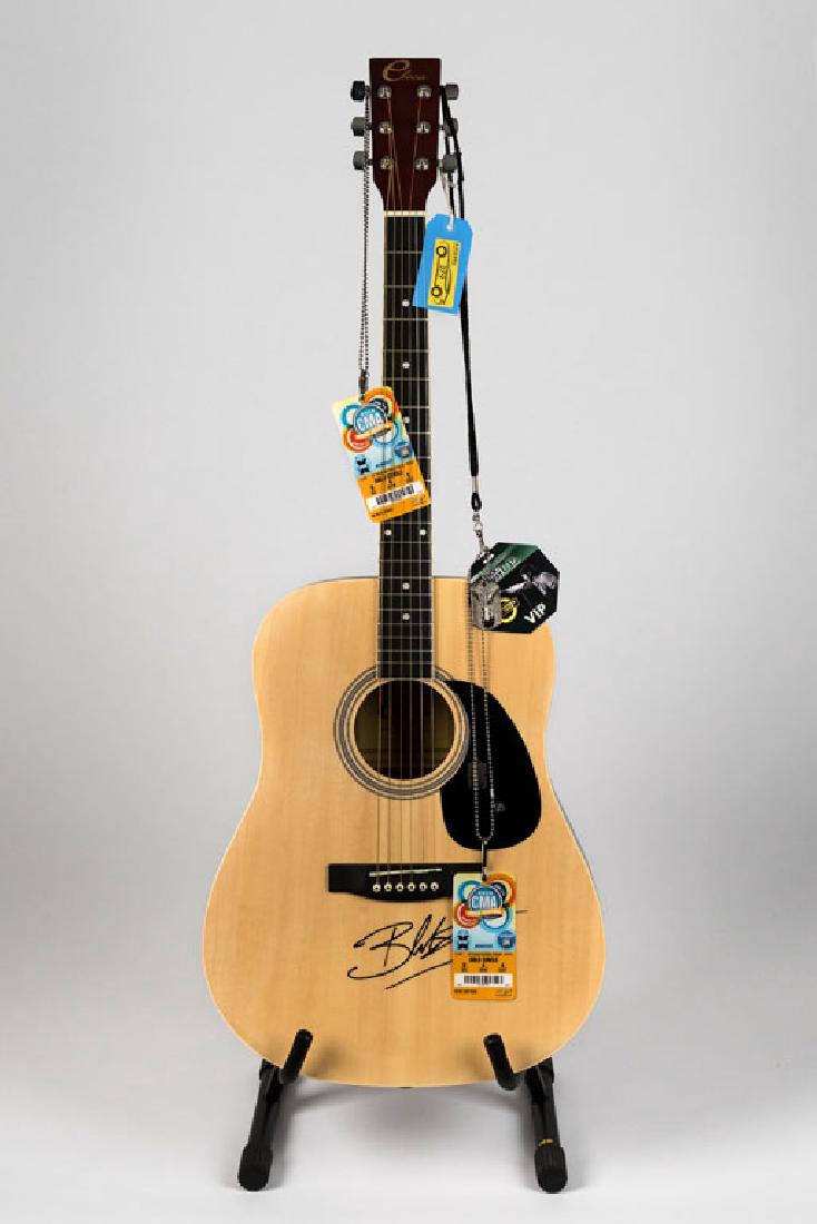 Blake Shelton Guitar (4) (1 of 2)