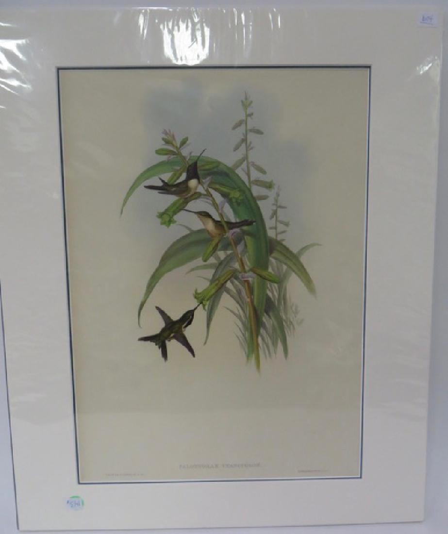 Mexican Porn Star KITTEN NATIVIDAD - Nude Photo