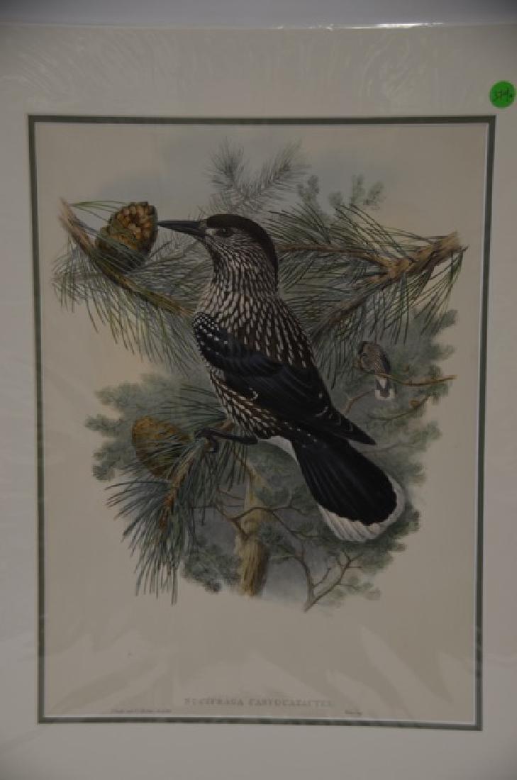 J. Gould Richter Lithograph Plate 374 (1 of 2)