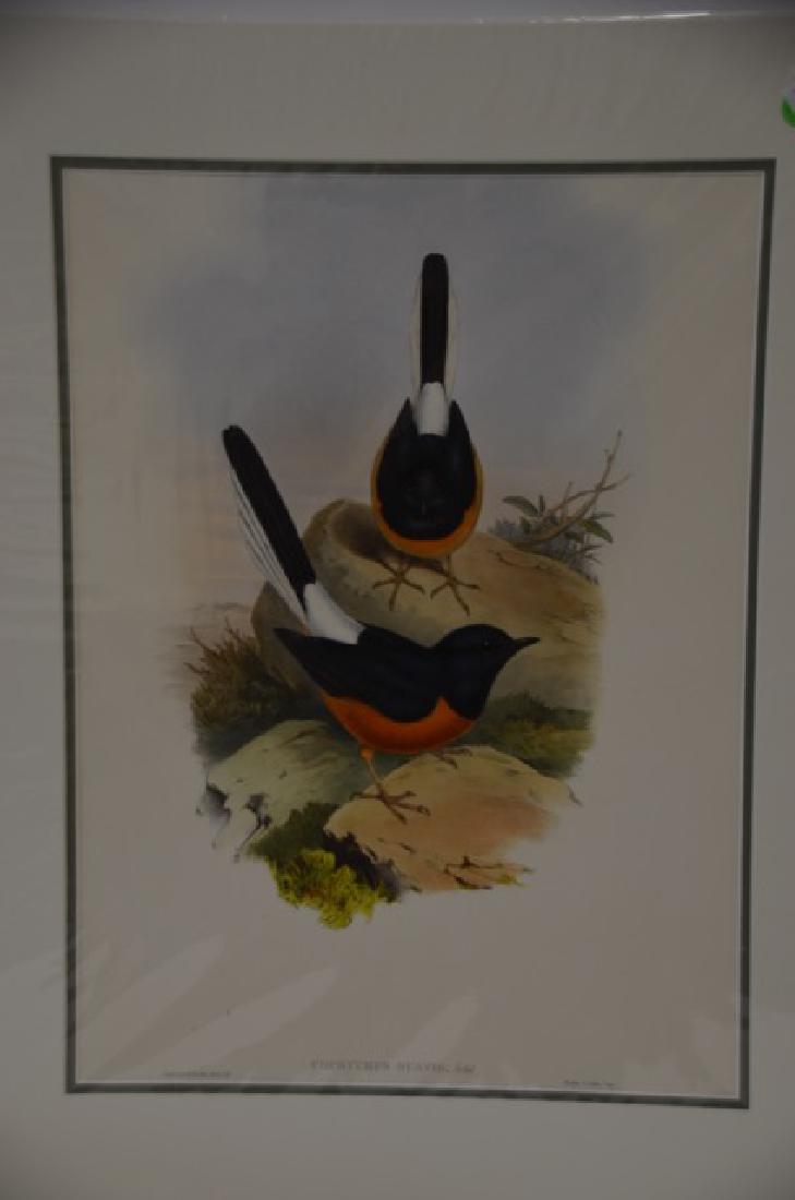 J. Gould Richter Hand Colored Lithograph (1 of 2)