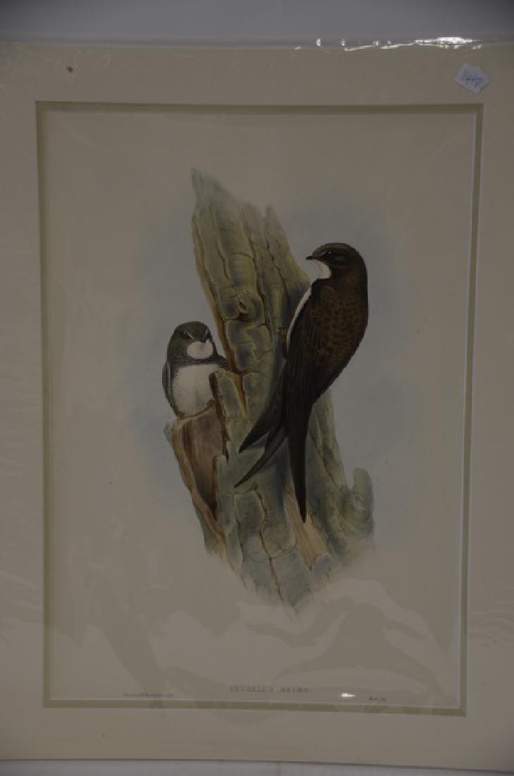 J. Gould Richter Hand Colored Lithograph (1 of 1)