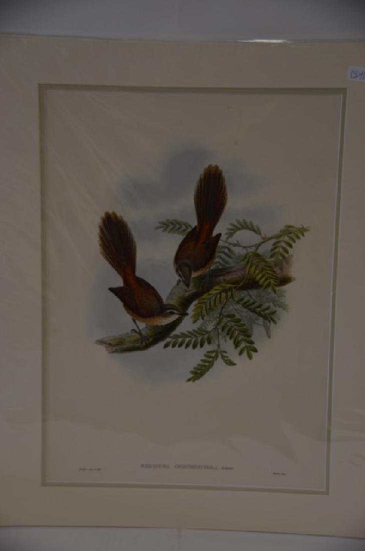 W. Hart Hand Colored Lithograph (1 of 1)