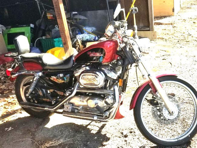 Harley Davidson 1200 Sportster (1 of 3)