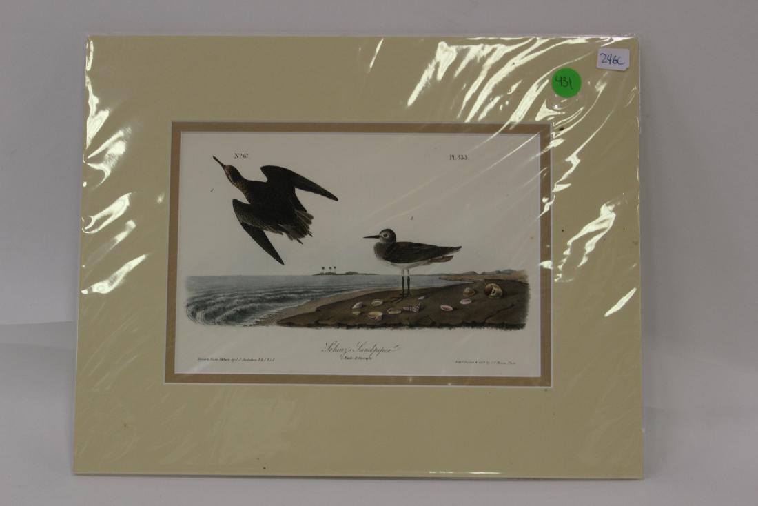 J.J.Audubon Lithograph 1st Ed. (1 of 3)