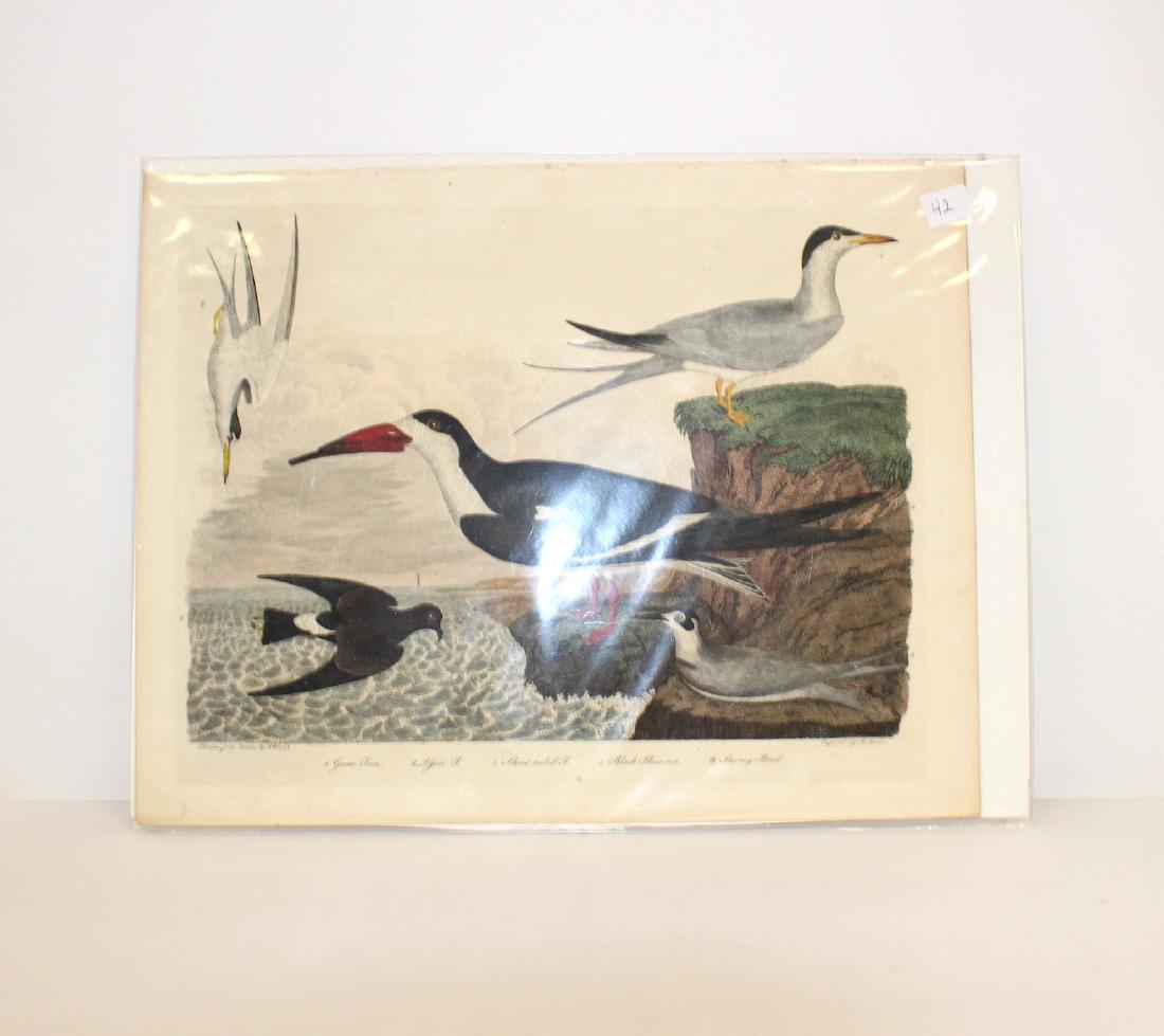 A. Wilson First ed. Aquatint Plate 60 (1 of 2)