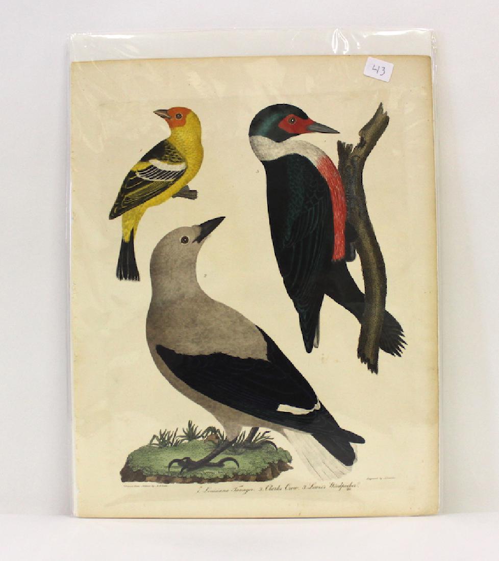 A. Wilson First ed. Aquatint Plate 20 (1 of 2)