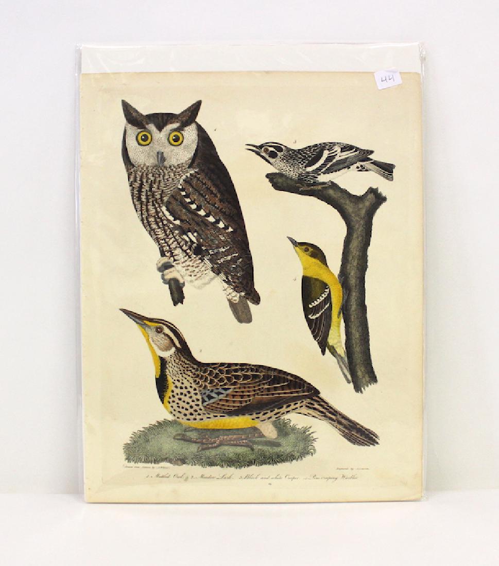 A. Wilson First ed. Aquatint Plate 19 (1 of 6)