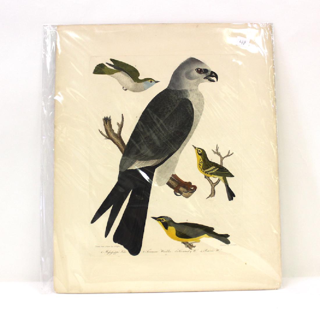 A. Wilson First ed. Aquatint Plate 25 (1 of 2)