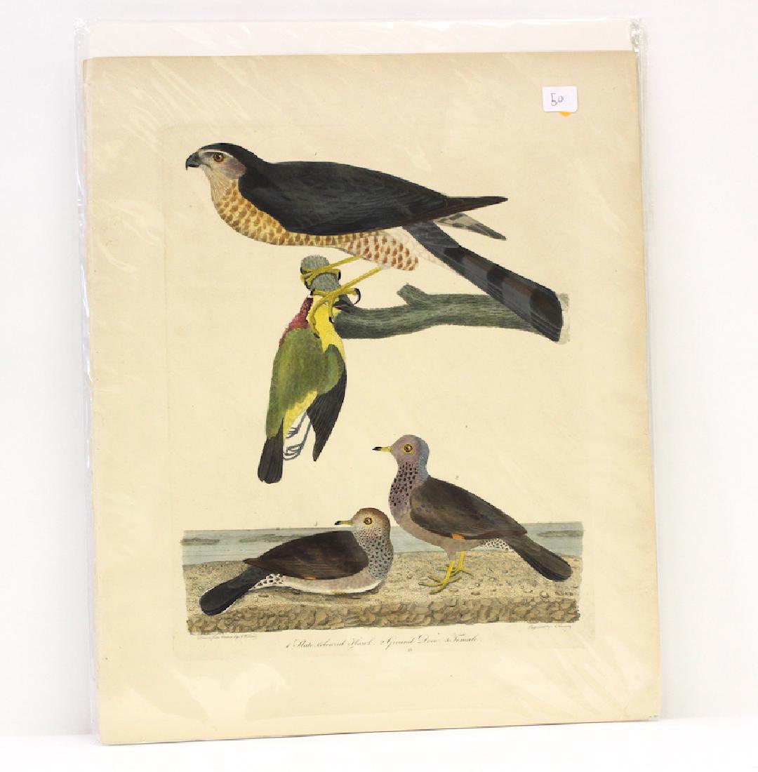 A. Wilson First ed. Aquatint Plate 46 (1 of 2)