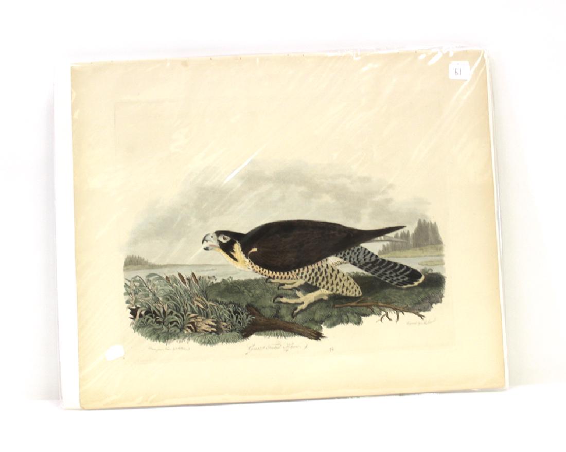 A. Wilson First ed. Aquatint Plate 76 (1 of 2)