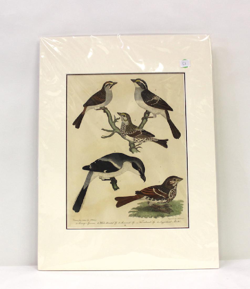 A. Wilson First ed. Aquatint Plate 22 (1 of 2)