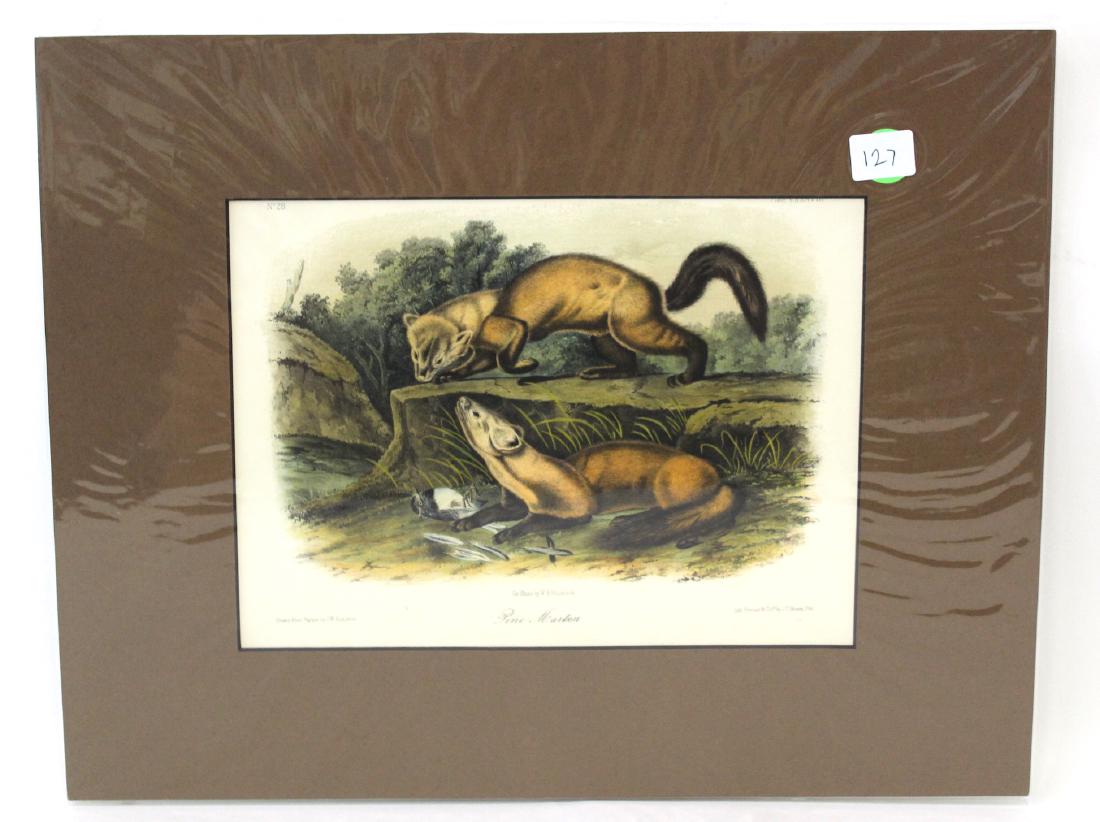 J.J Audubon First ed. Aquatint Pine Marten (1 of 2)