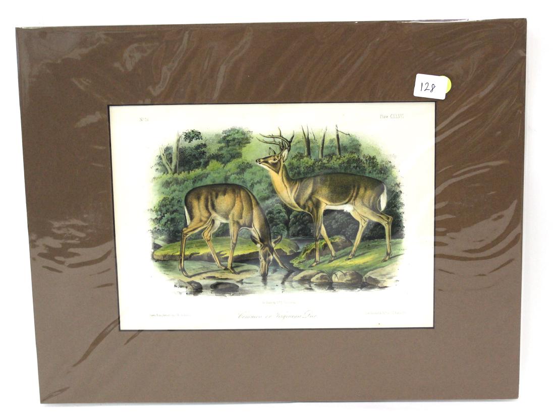 J.J Audubon First ed. Aquatint Common or Virginian Deer (1 of 2)