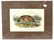 J.J Audubon First ed. Aquatint Red Texan Wolf
