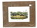 J.J Audubon First ed. Aquatint Northern Meadow Mouse